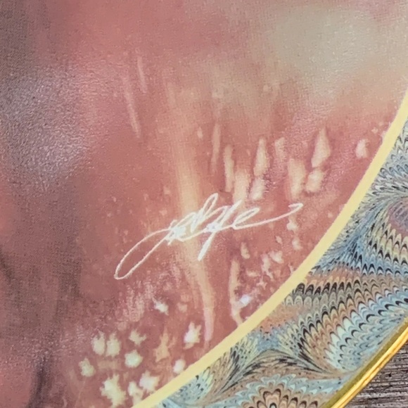 1994 "First Glance" 4th Plate Native Beauty Collection by Lee Bogle - Picture 7 of 10